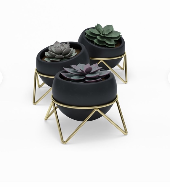 Support-plantes sur pied en noir et doré original et design