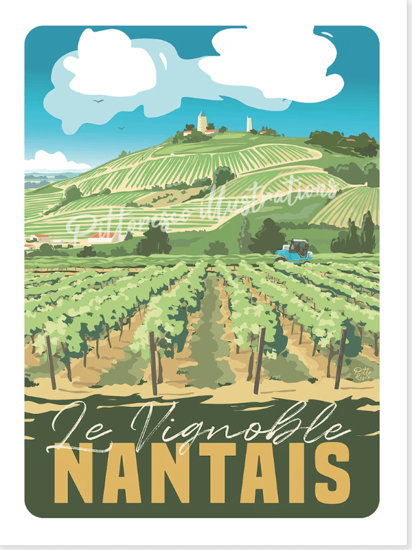 Pittoresco Affiche Le Vignoble Nantais 30x40cm