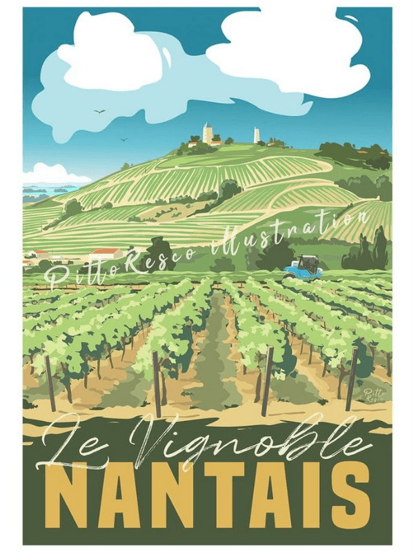 Affiche illustration Vignoble Nantais