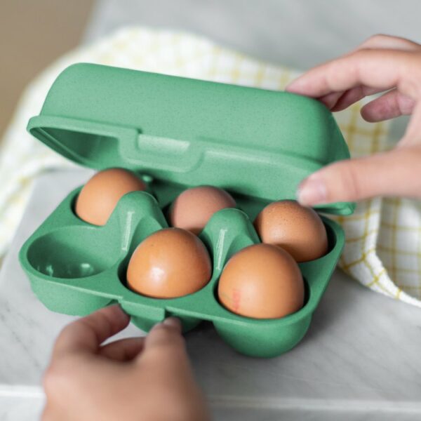 boite-a-oeufs-reutilisable-verte